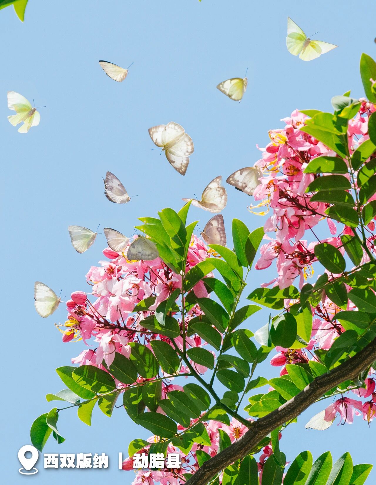 20260323023 20260323023