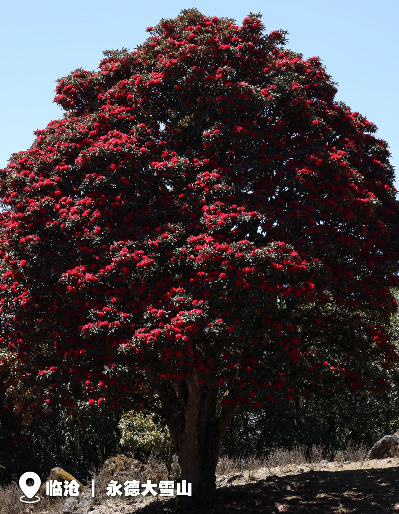 20260323024 20260323024