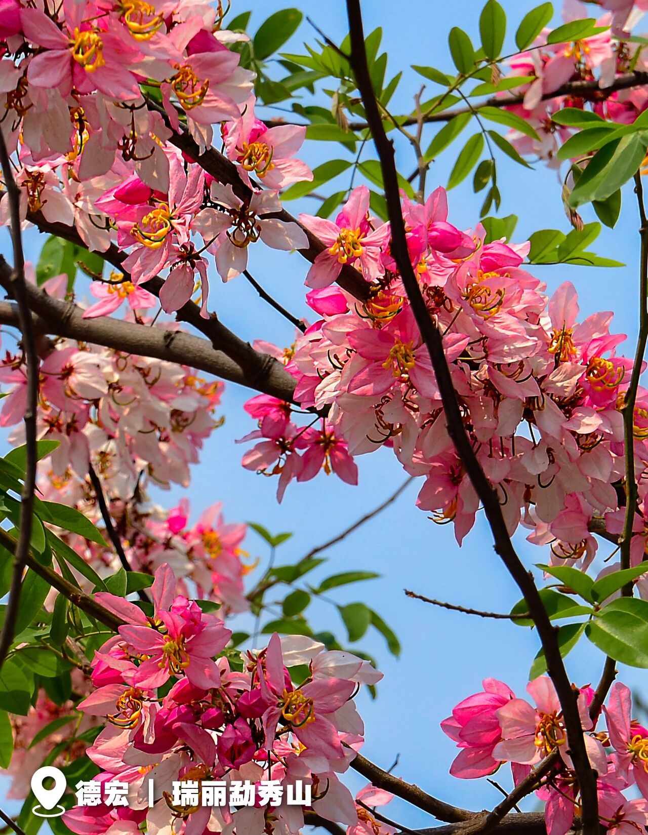 20260323025 20260323025