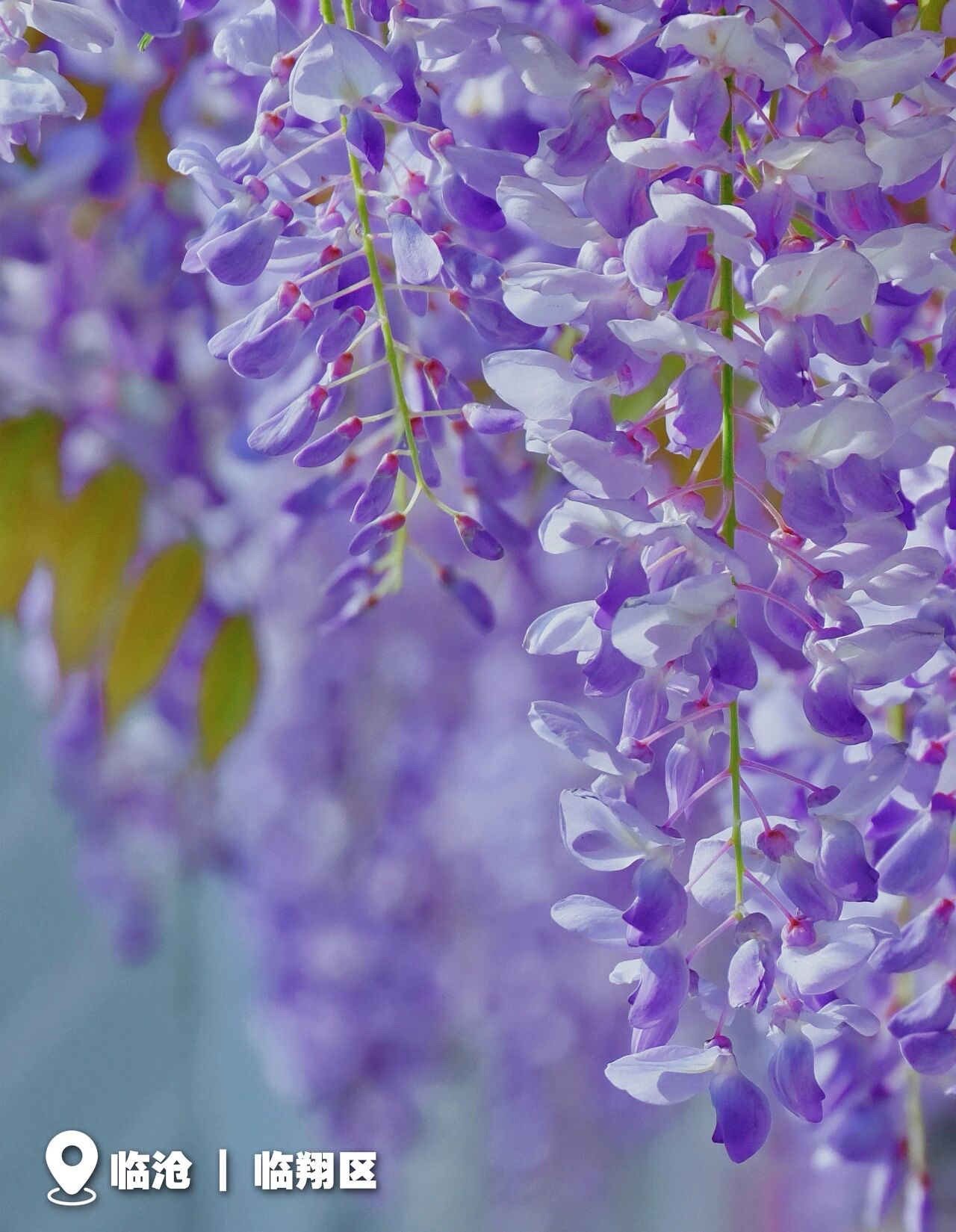 20260323026 20260323026