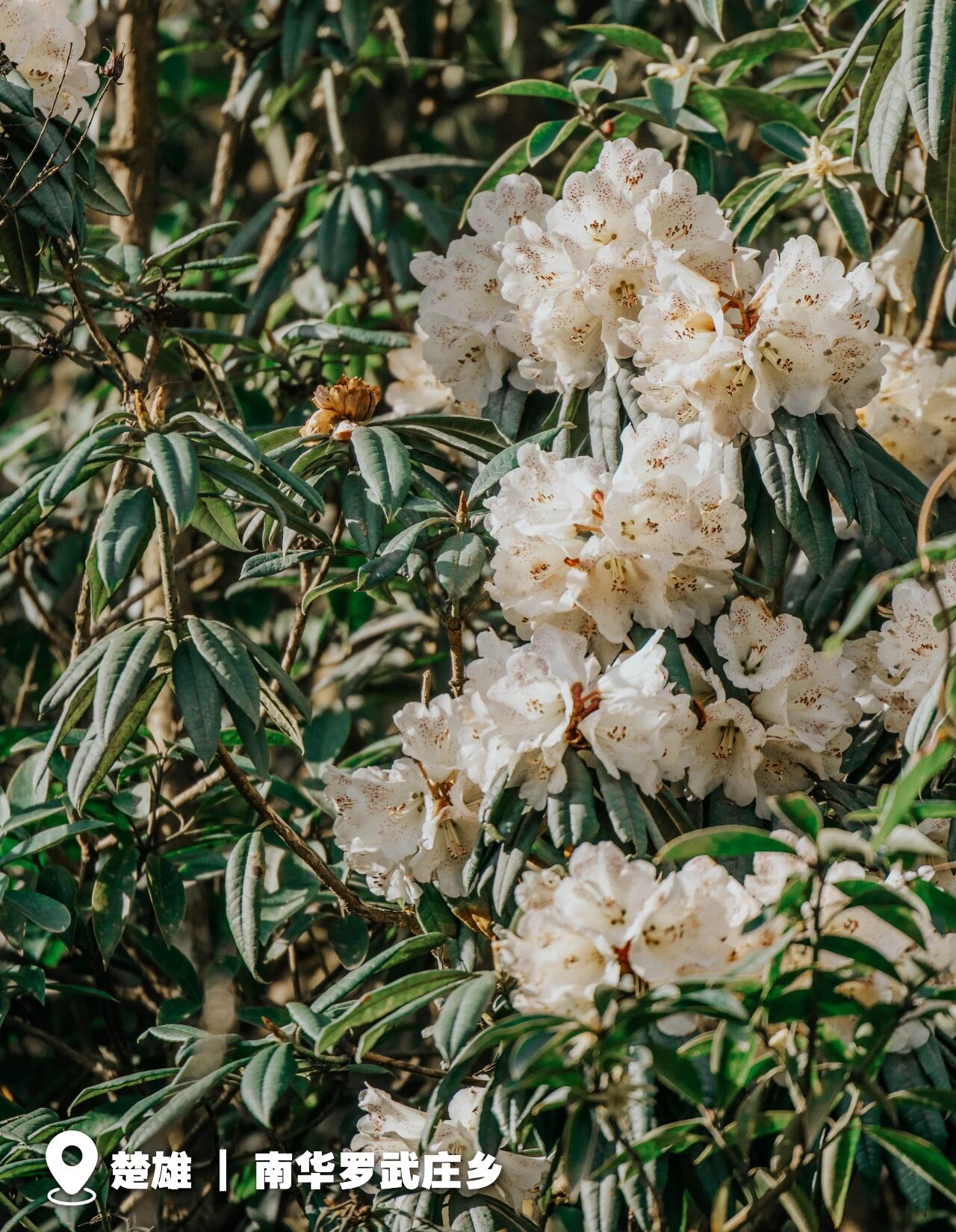 20260323027 20260323027