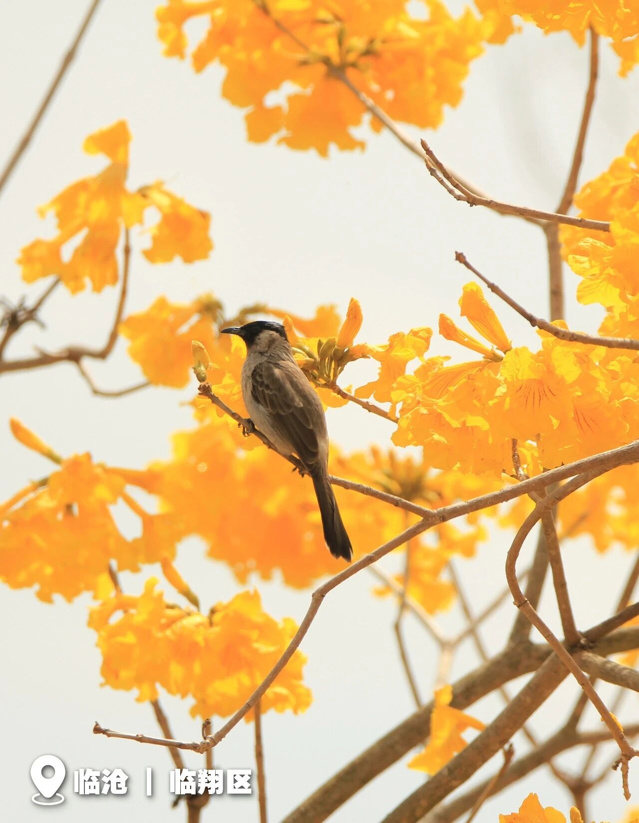 20260323028 20260323028