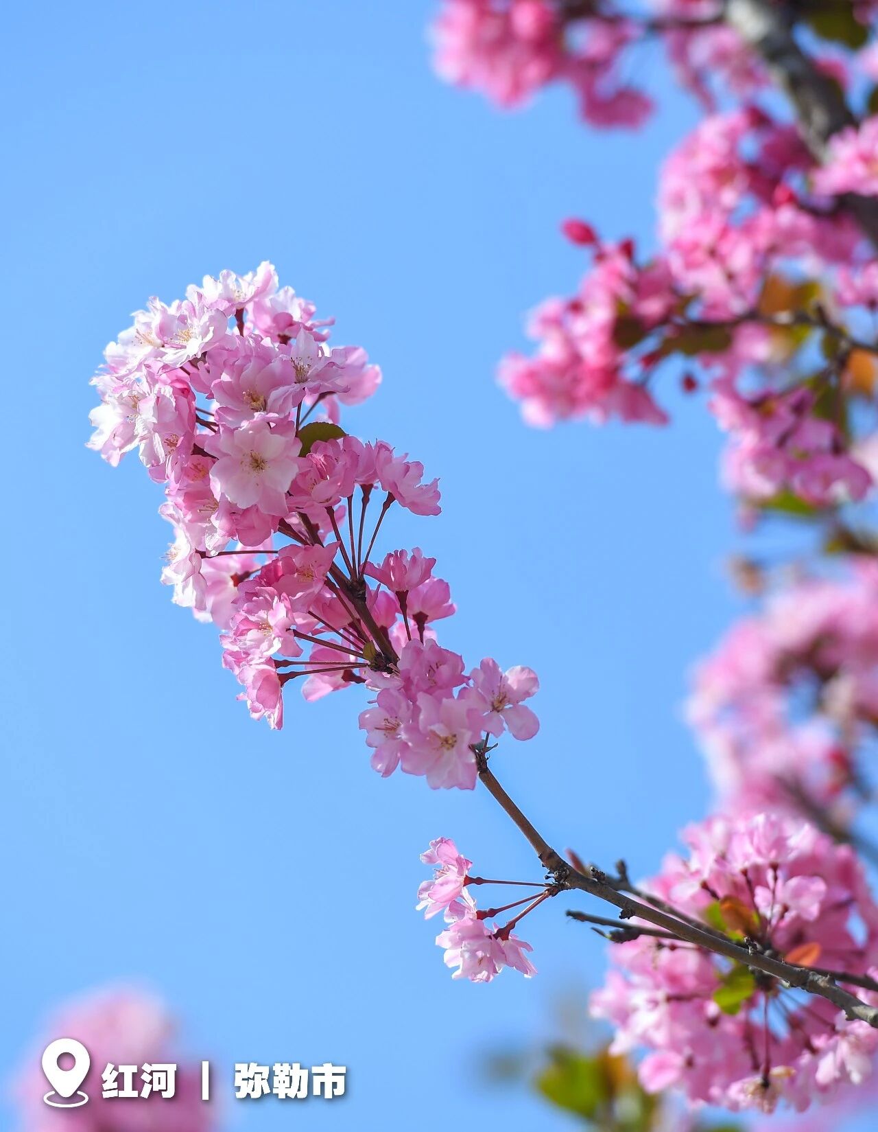 20260323030 20260323030