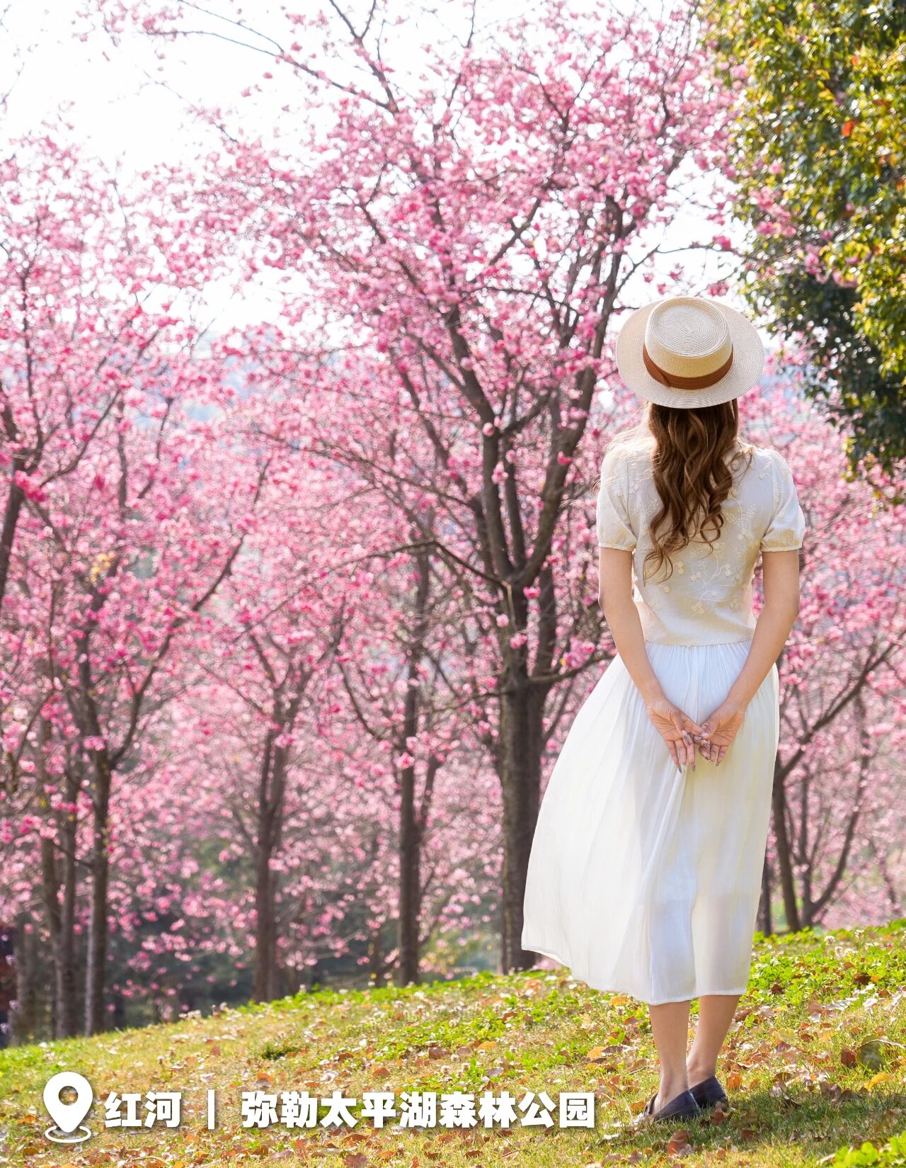 20260323031 20260323031