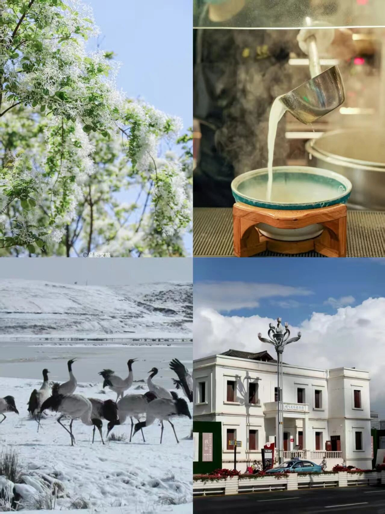 4c392c45cae44bc0a751113669a4413e 4c392c45cae44bc0a751113669a4413e