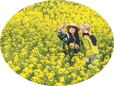 5e1d13222f524d3a822fc9e2cdb8a1c2 5e1d13222f524d3a822fc9e2cdb8a1c2