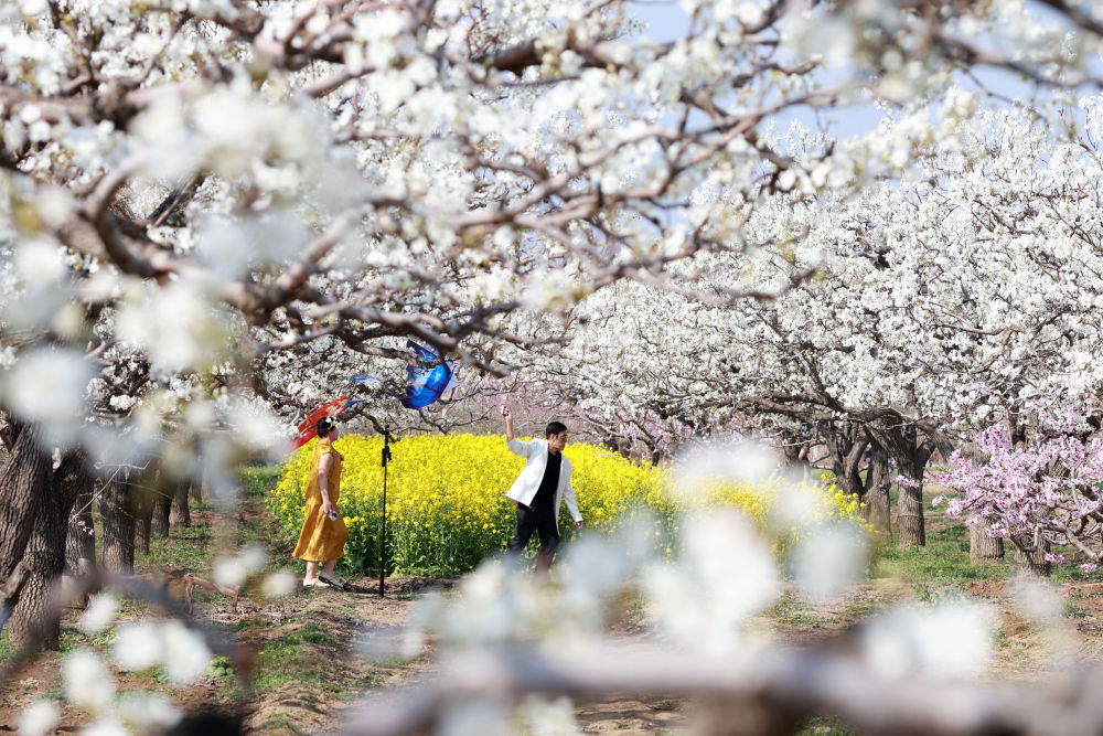 XxjpsgC000020_20260402_CBMFN0A002