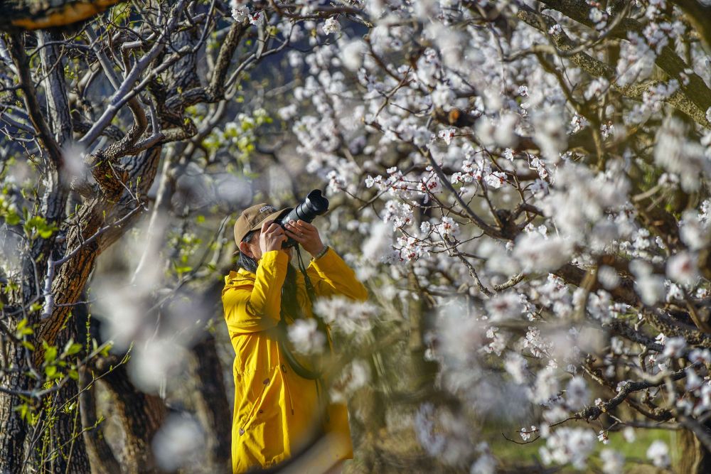 XxjpsgC000020_20260402_CBMFN0A016