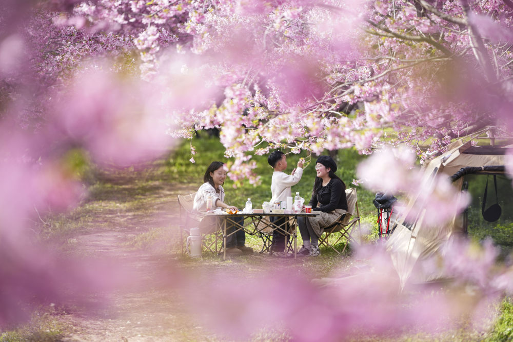 XxjpsgC000020_20260402_CBMFN0A010