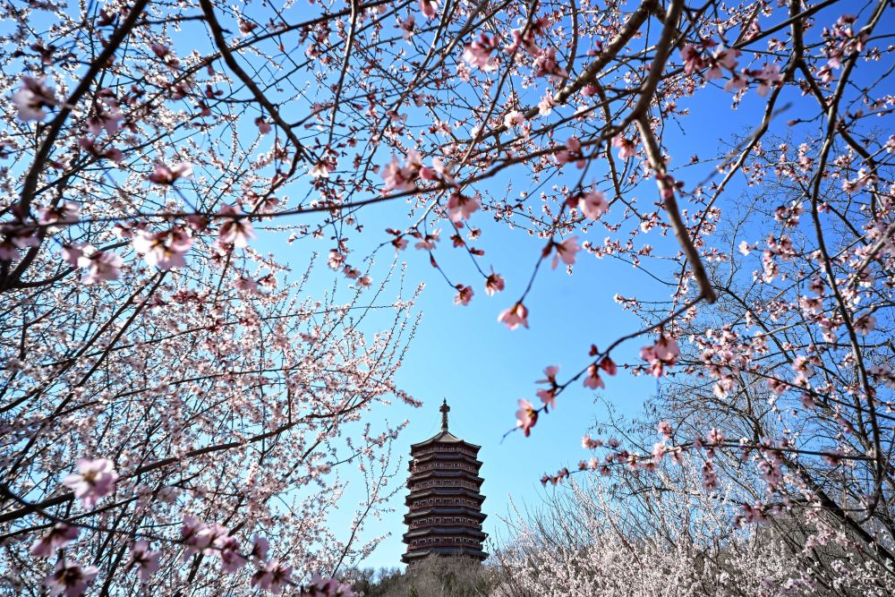 XxjpsgC000020_20260402_CBMFN0A011