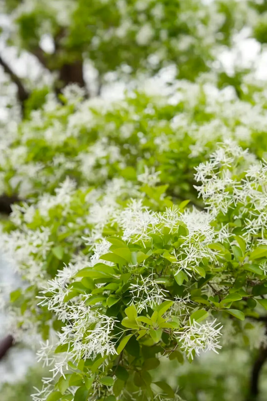 519552b7d7734b82afde188c73f7cb5f 519552b7d7734b82afde188c73f7cb5f