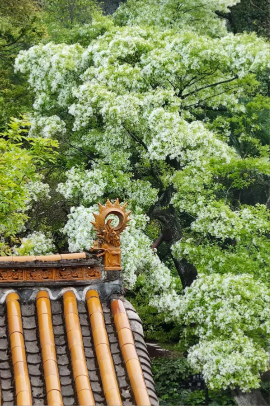 7caf8ef7bc534a66a2a606556e291ab5 7caf8ef7bc534a66a2a606556e291ab5