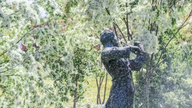 ebfc68d729da4d139e5ed7a7fbaf9dd9 ebfc68d729da4d139e5ed7a7fbaf9dd9