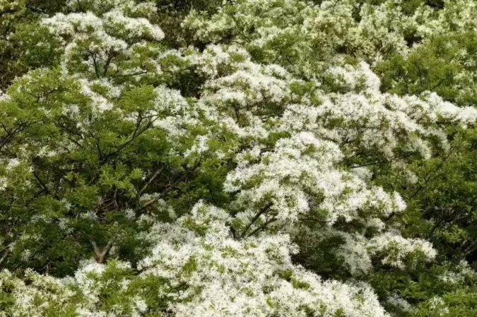 5fbf019a968846e3a28f66210fd7c317 5fbf019a968846e3a28f66210fd7c317