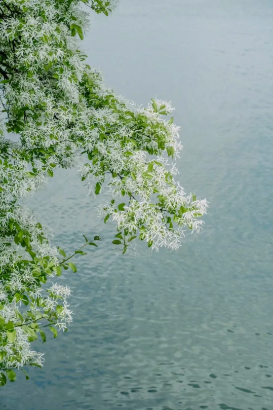 94d2276a03c14bd3b77f0e4f25ddd565 94d2276a03c14bd3b77f0e4f25ddd565