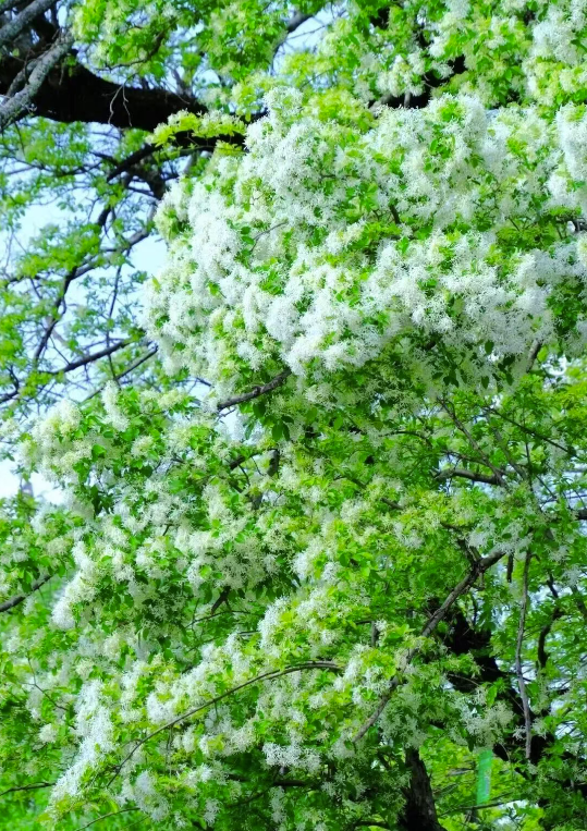 dd58d2f94f7e49c8bd2941fba3cdb541 dd58d2f94f7e49c8bd2941fba3cdb541